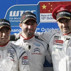 WTCC 2014 - Race of China-Shanghai Gallery