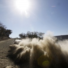 WRC 2014 - Rally Mexico