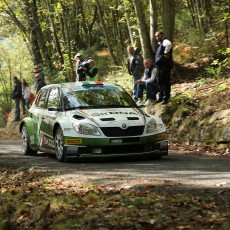 ERC 2013 - Sanremo Rally