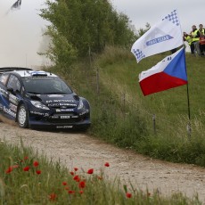 WRC 2014 - Lotos Rally Poland