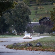 ERC 2014 - Rallye International du Valais