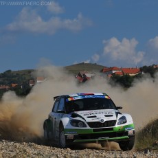 ERC 2013 - Sibiu Rally