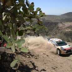 WRC 2014 - Rally Mexico