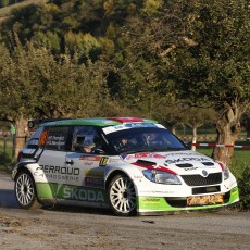 ERC 2014 - Rallye International du Valais