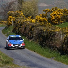 ERC 2014 - Circuit of Ireland Rally