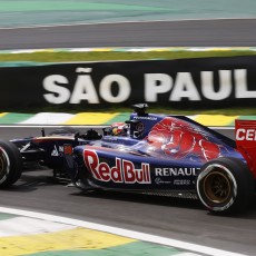 Brazilian Grand Prix 2014 - Gallery