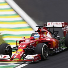 Brazilian Grand Prix 2014 - Gallery