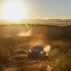 WRC, Rally Argentina, FIA, motorsport