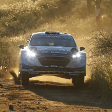 WRC, Rally Argentina, FIA, motorsport