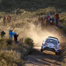 WRC, Rally Argentina, FIA, motorsport