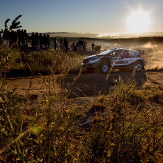 WRC, Rally Argentina, FIA, motorsport