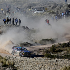 WRC, Rally Argentina, FIA, motorsport