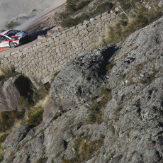 WRC, Rally Argentina, FIA, motorsport