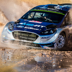 WRC, Rally Italia Sardegna, FIA, motorsport