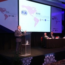 FIA, Motorsport, Mobility, Road Safety, F1, WRC, WEC, WTCC, World RX