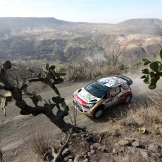 WRC 2013 - Rally Mexico