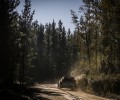 2019 Rally Chile - O. Tänak / M. Järveoja