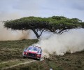 2021 Safari Rally Kenya - T. Neuville/M. Wydaeghe (DPPI Media)