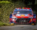 2021 WRC - Ypres Rally Belgium - T. Neuville / M. Wydaeghe (DPPI / Gregory Lenormand)